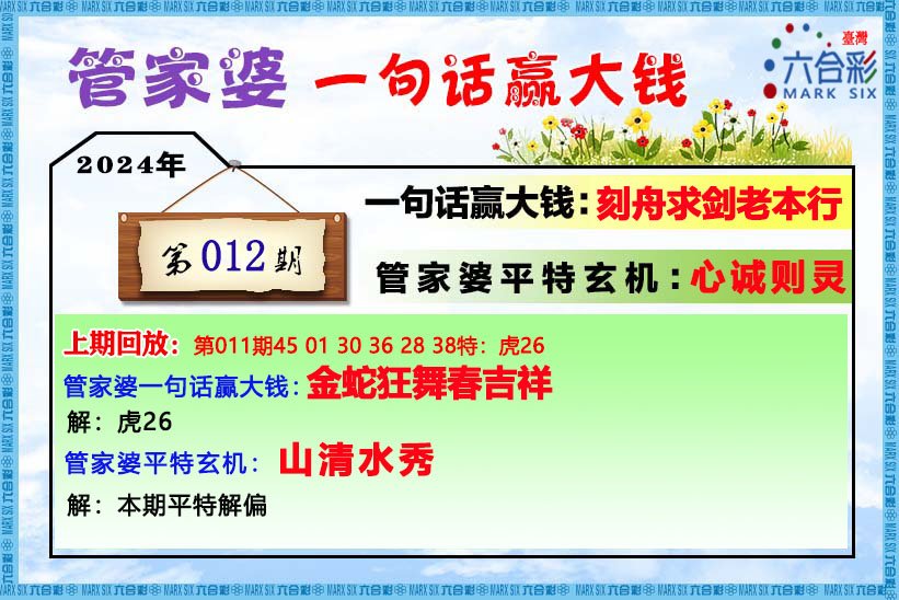 管家婆的资料一肖中特176期|精选解释解析落实